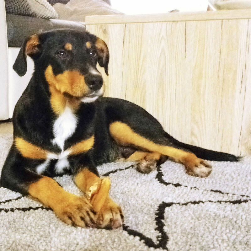 Schon etwas eingewöhnt